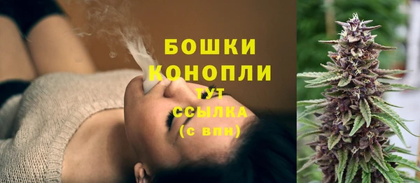 spice Володарск