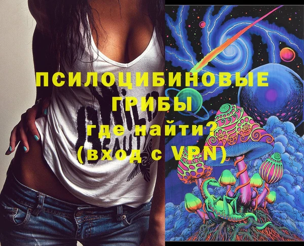 spice Володарск