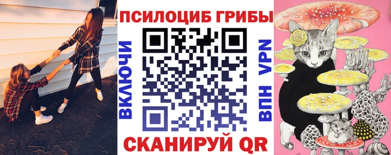 Купить  Курлово  Галлюциногенные грибы Cubensis 